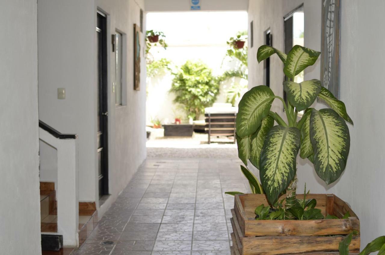 Hotel Nicte Ha Tulum Exterior photo